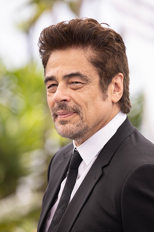 Zdjęcie: Benicio Del Toro