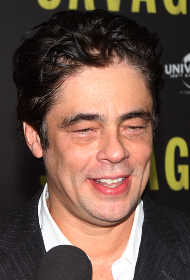Benicio Del Toro, 2012