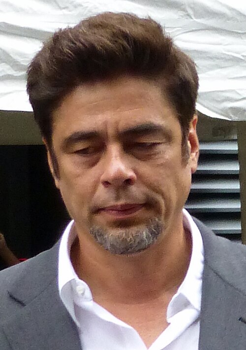 Benicio Del Toro, 2014