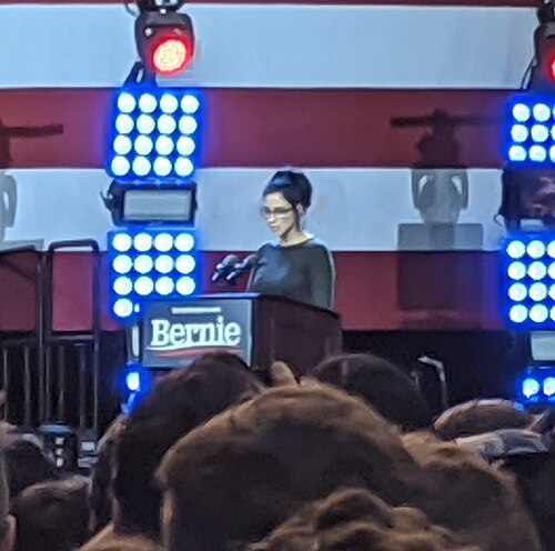 Sarah Silverman, 2020