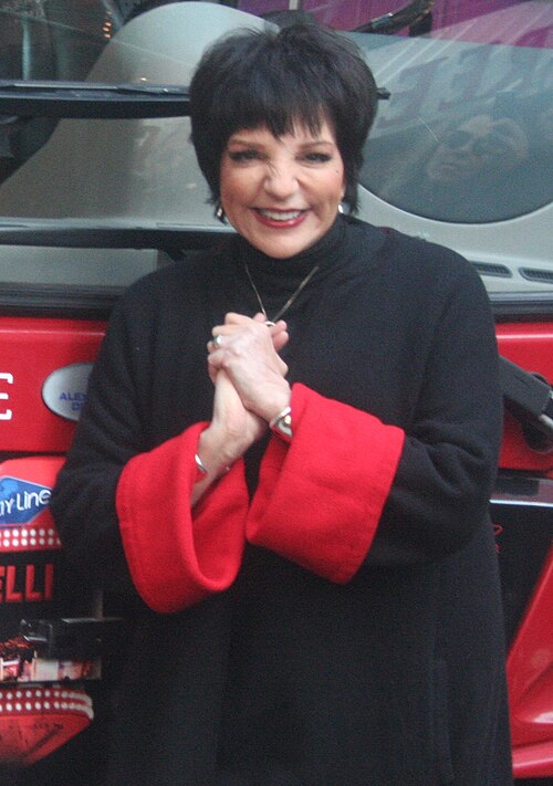 Liza Minnelli, 2011