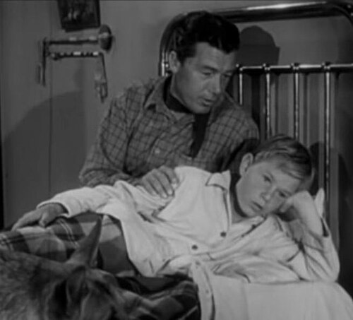 Zdjęcie: Barry Curtis
