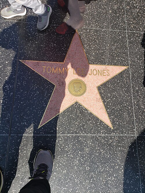 Tommy Lee Jones, 2019