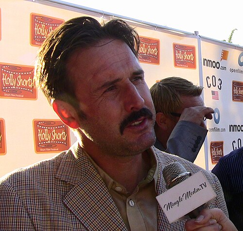 David Arquette, 2010