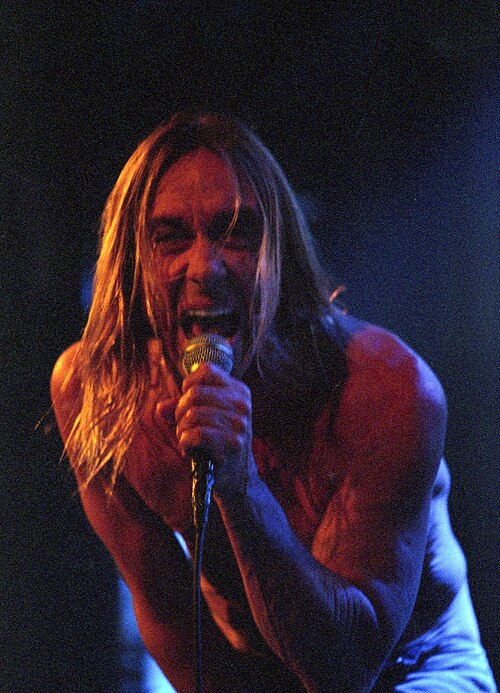 Zdjęcie: Iggy Pop