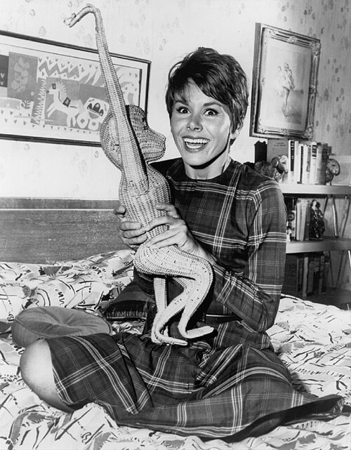 Zdjęcie: Judy Carne