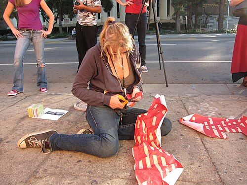 Daryl Hannah, 2011