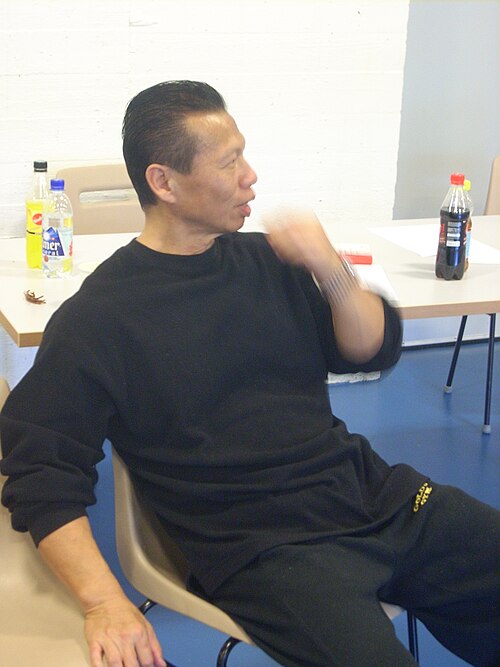Bolo Yeung, 2010