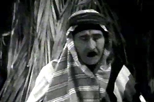 Paul Panzer, 1929