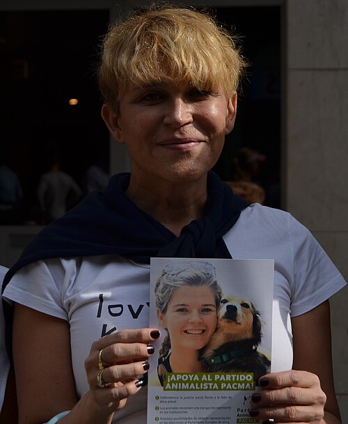 Antonia San Juan, 2013