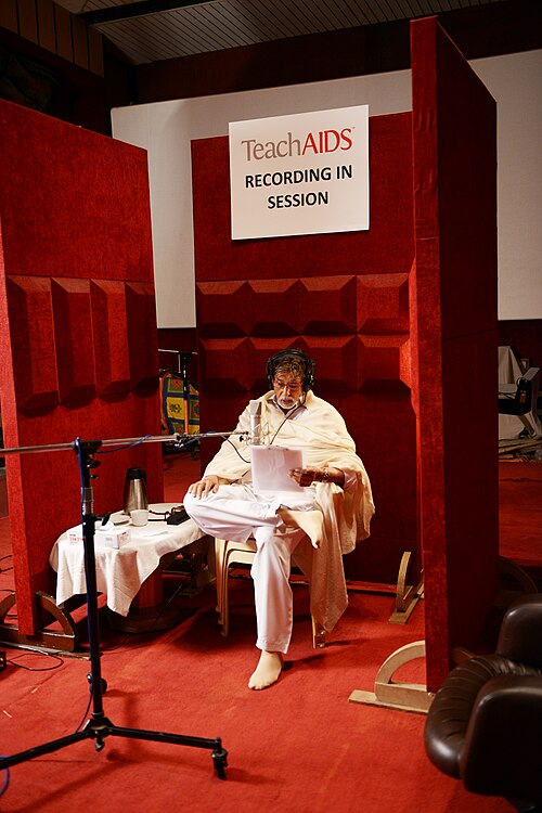 Amitabh Bachchan, 2013