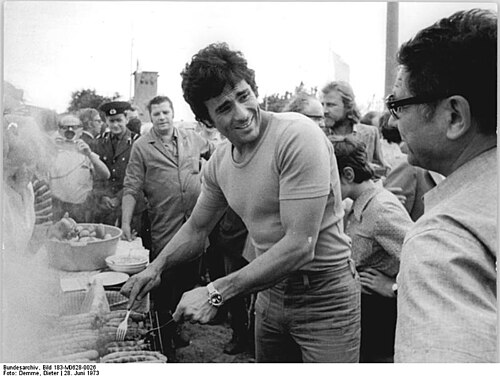 Gojko Mitic, 1973