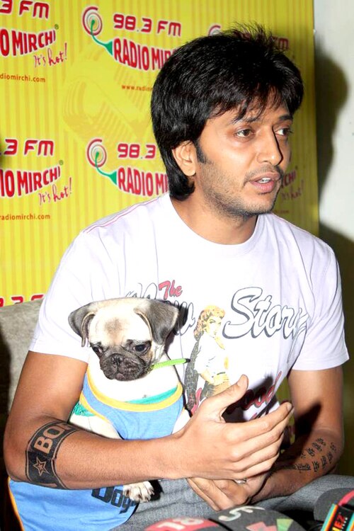 Riteish Deshmukh, 2012