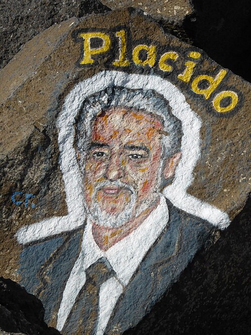 Plácido Domingo, 2013