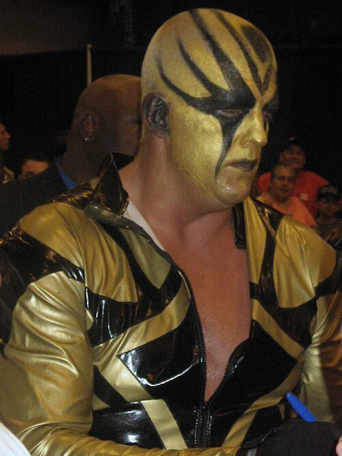 Dustin Runnels, 2010
