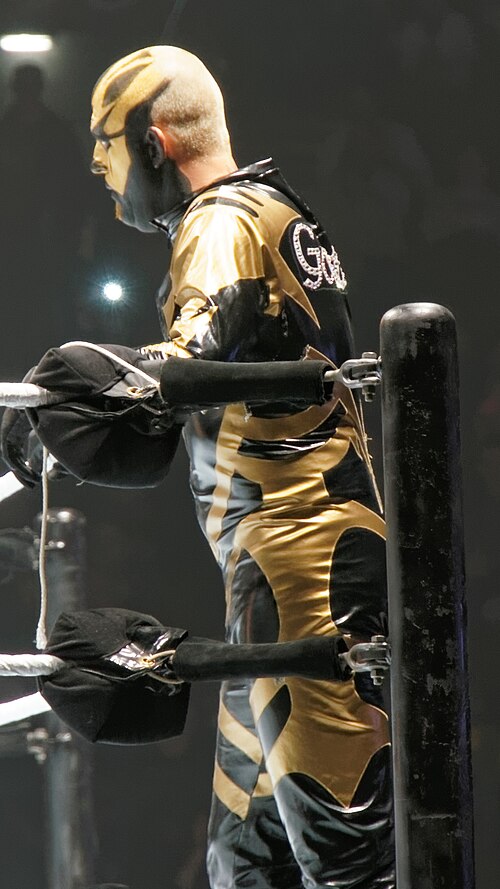 Dustin Runnels, 2013