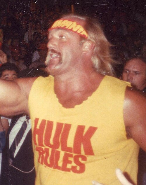 Hulk Hogan, lata 80.