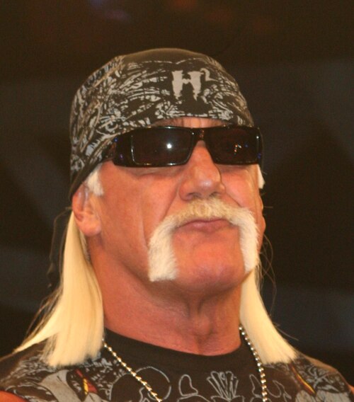 Hulk Hogan, 2010