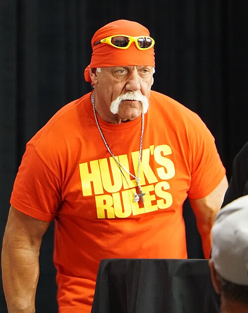 Hulk Hogan, 2015