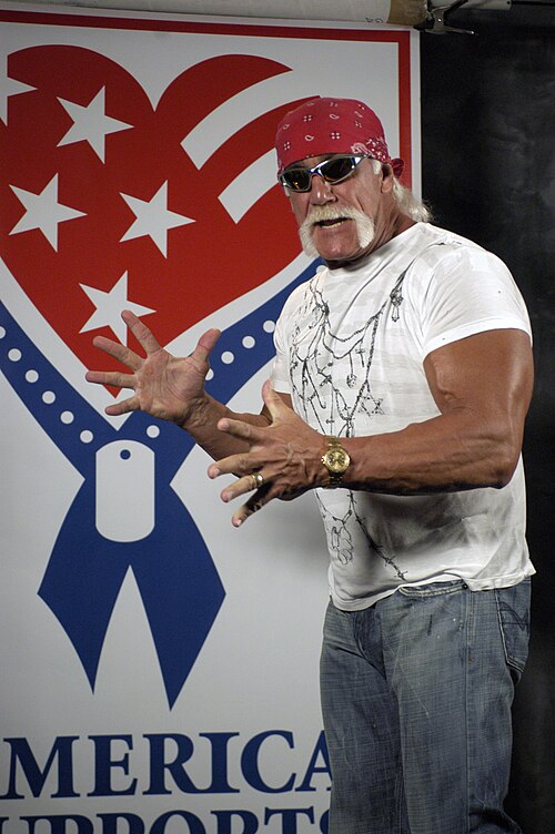 Hulk Hogan, 2005
