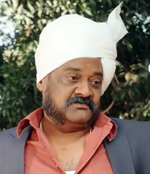 Zdjęcie: P. Ravi Shankar