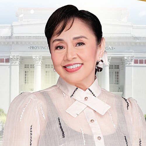 Vilma Santos, 2025