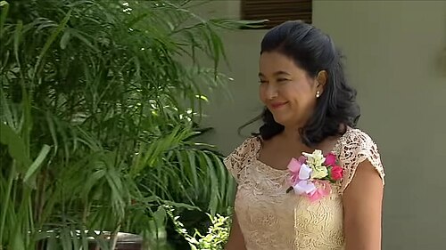 Lorna Tolentino, 2017