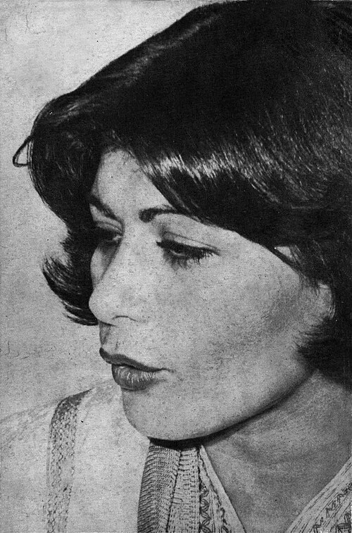 Zdjęcie: Shahrzad