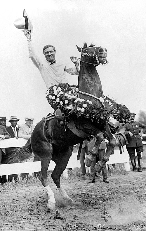 Zdjęcie: Tony the Horse
