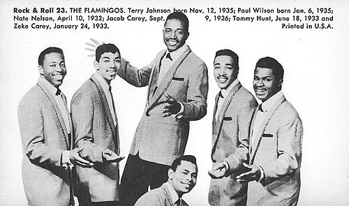 Zdjęcie: The Flamingos