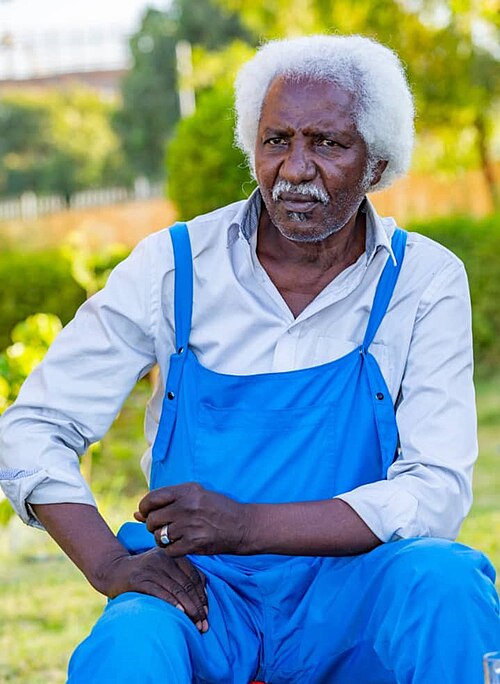 Zdjęcie: Youssouf Djaoro