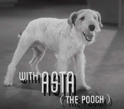 Zdjęcie: Asta