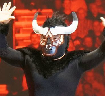 Zdjęcie: Mascarita Dorada